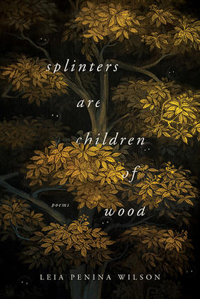Jacket cover image of Splinters Are Children of Wood by Leia Penina Wilson