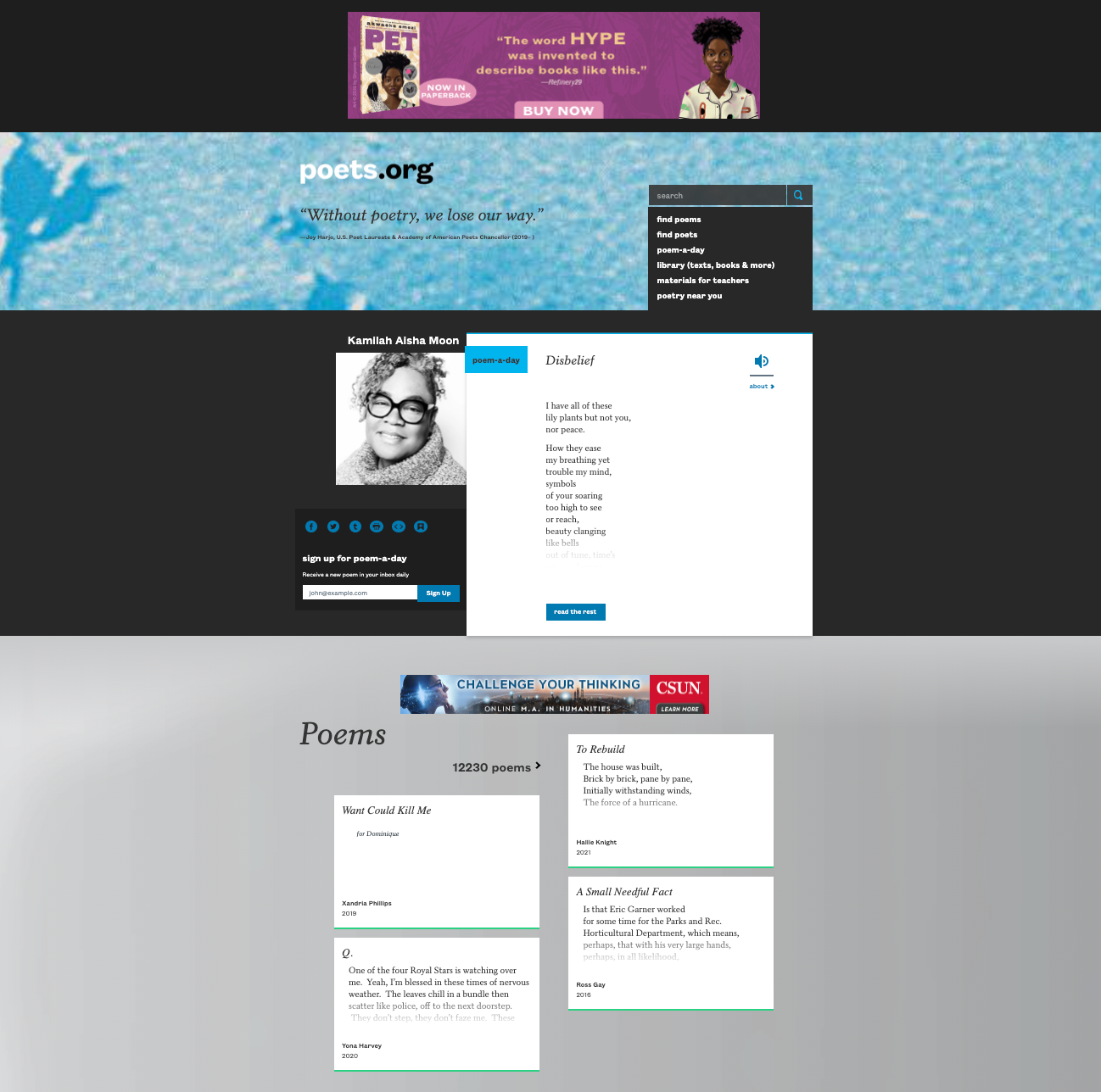 Screenshot of Poets.org (Billboard and leaderboard)
