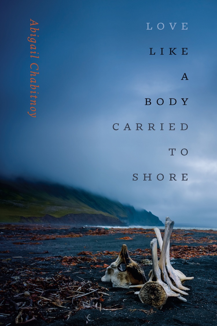 Cover of Love Like a Body Carried to Shore