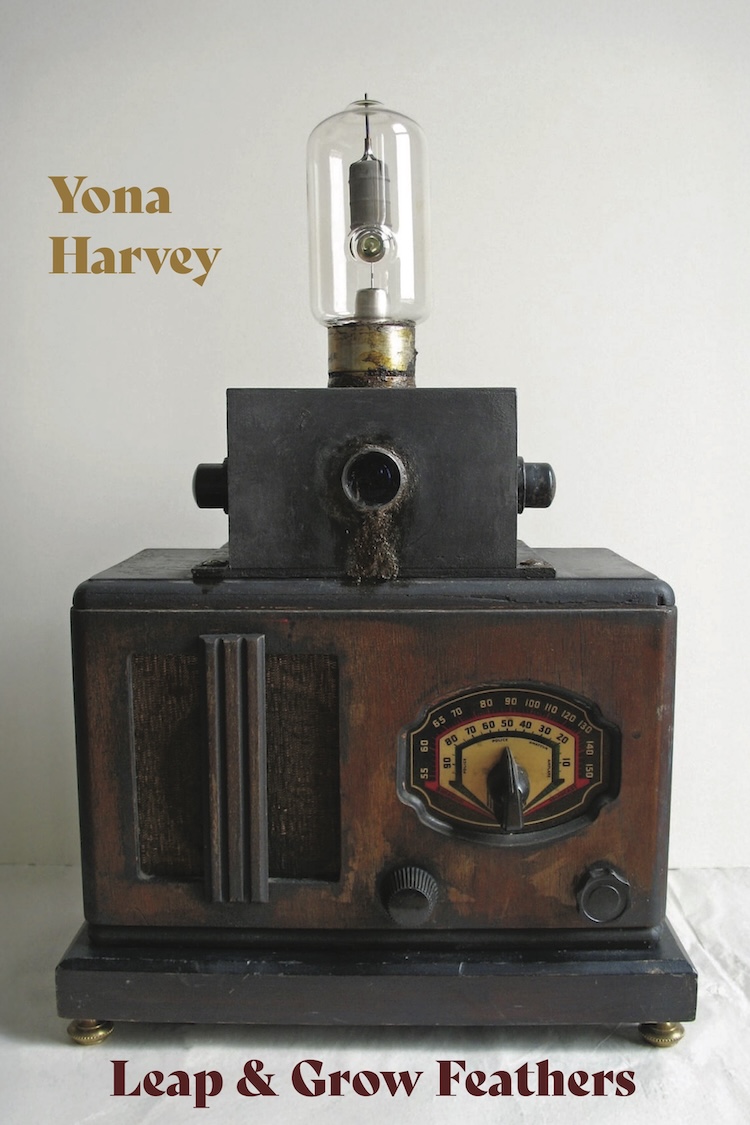 Cover of Leap & Grow Feathers