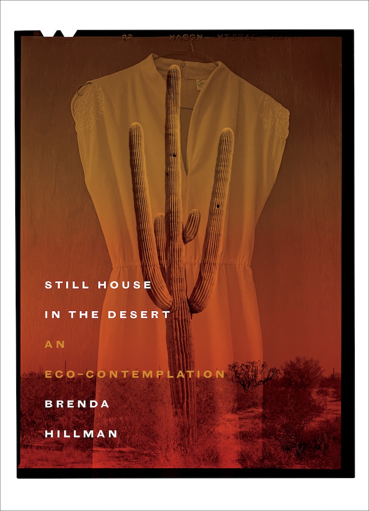 Cover of Still House in the Desert