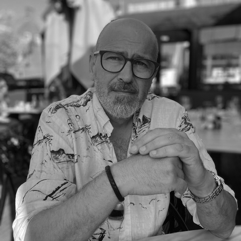 Damir Šodan