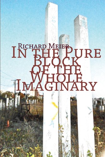 In the Pure Block of the Whole Imaginary by Richard Meier