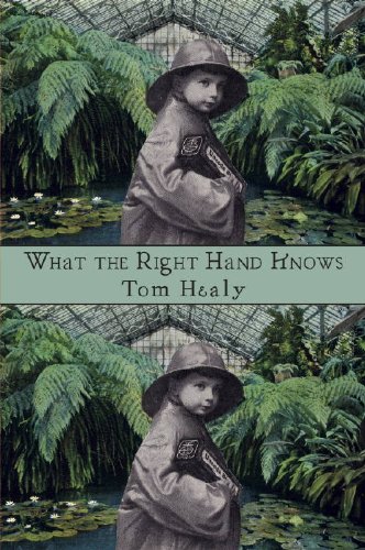 What the Right Hand Knows by Tom Healy