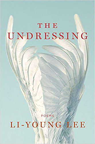 The Undressing (W. W. Norton, February 2018)