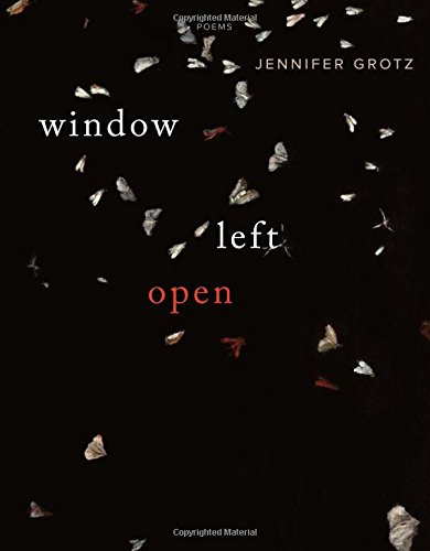 Window Left Open by Jennifer Grotz