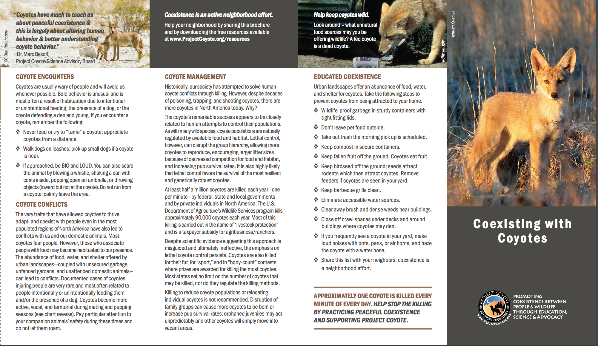 Brochure from Project Coyote