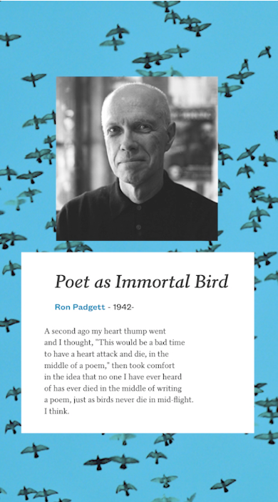 “Poet as Immortal Bird” by Ron Padgett