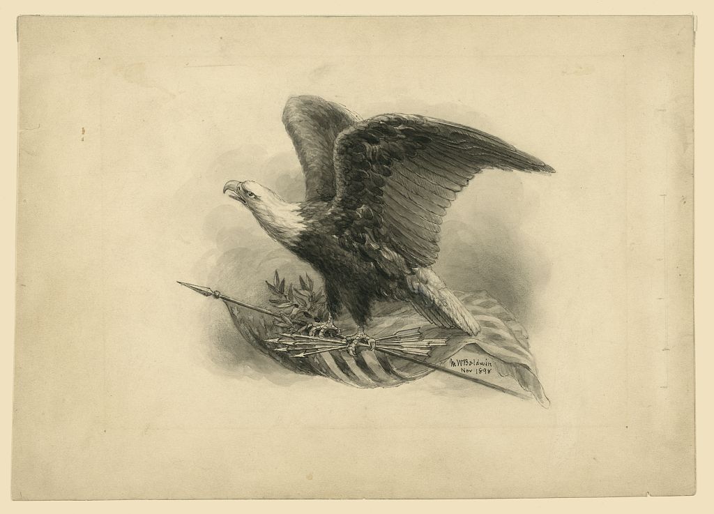 American eagle 