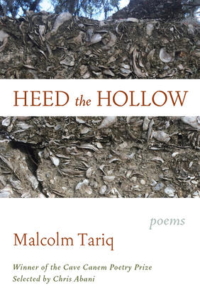 Jacket cover image of Heed the Hollow by Malcolm Tariq