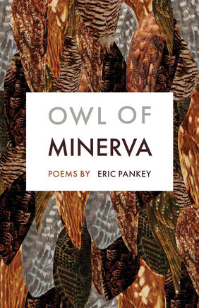 Jacket cover image of Owl of Minerva