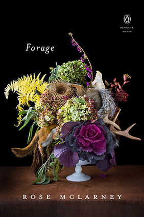 Jacket cover image of Forage by Rose McLarney