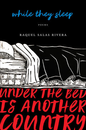 Jacket cover image of while they sleep (under the bed is another country) by Raquel Salas Rivera