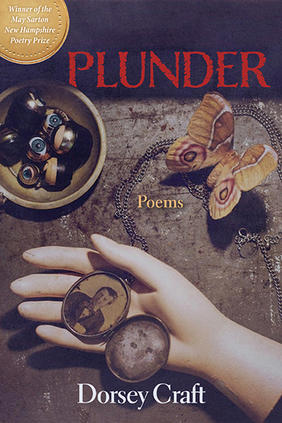Jacket cover image of Plunder by Dorsey Craft (Bauhan Publishing 2020, 400x600)