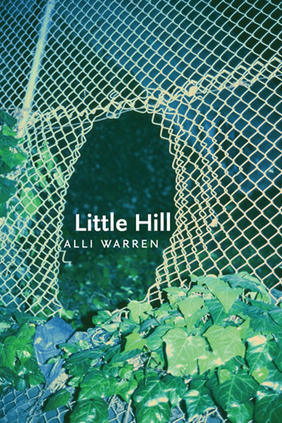 Jacket cover image of Little Hill by Alli Warren