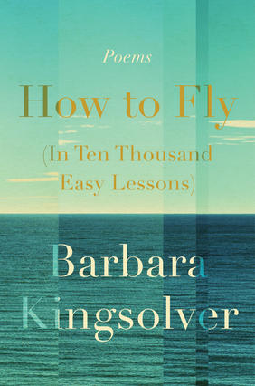 Jacket cover image of How to Fly in Ten Thousand Easy Lessons by Barbara Kingsolver