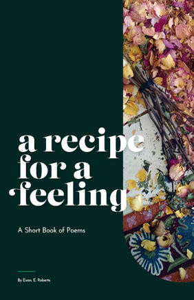 Jacket cover image of A Recipe for a Feeling by Evan E. Roberts