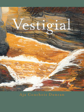 Jacket cover for Vestigial by Aja Couchois Duncan 