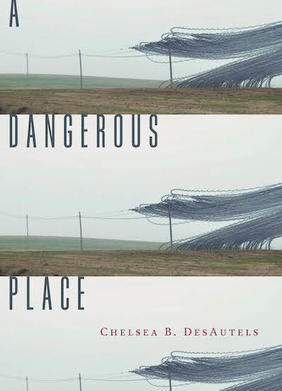Jacket cover for A Dangerous Place by Chelsea B. DesAutels