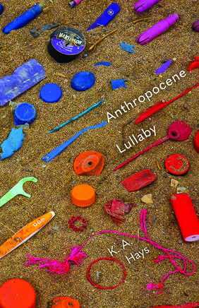 Jacket cover for Anthropocene Lullaby 