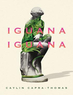 Jacket cover for Iguana Iguana by Caylin Capra-Thomas