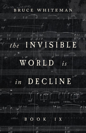 Jacket cover for The Invisible World Is in Decline Book IV by Bruce Whiteman