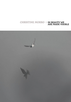 Jacket cover for In Beauty We Are Made Visible by Christine Morro 
