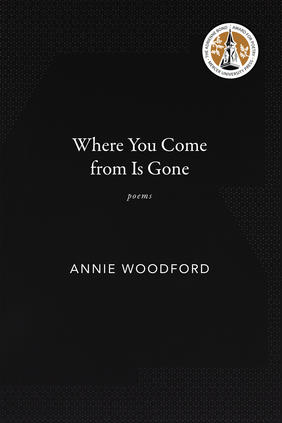 Jacket for When You Come from is Gone by Annie Woodford 