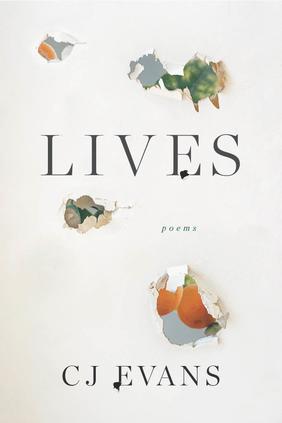 Jacket cover for Lives by CJ Evans