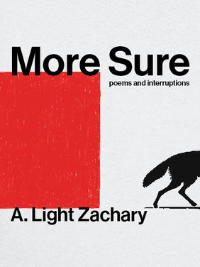 Jacket cover for More Sure by A. Light Zachary