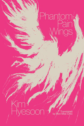 Jacket cover for Phantom Pain Wings by Kim Hyesoon