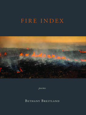 Jacket cover for Fire Index by Bethany Breitland 