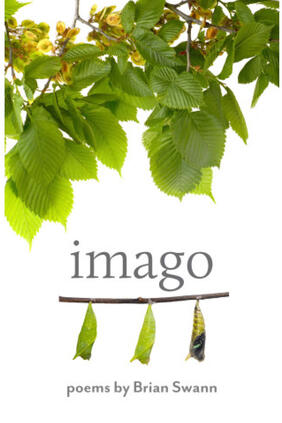Jacket cover for Imago by Brian Swann