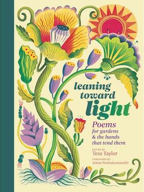 Jacket cover for Leaning Toward Light edited by Tess Taylor