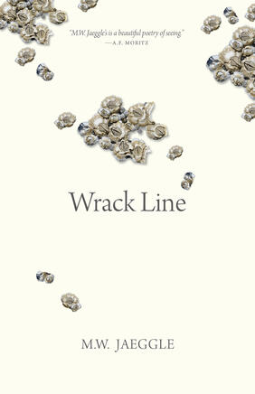 Jacket cover for Wrack Line by M. W. Jaeggle