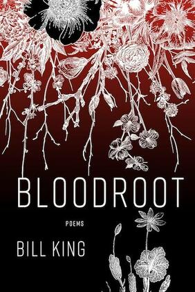 Jacket cover for Bloodroot: Poems by Bill King