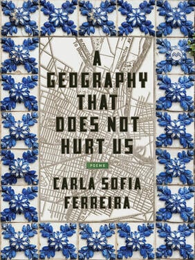 Jacket cover for A Geography That Does Not Hurt Us 