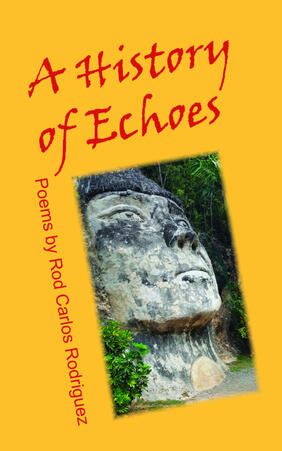 Jacket cover for A History of Echoes