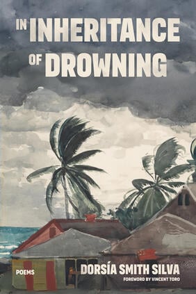 Jacket cover for In Inheritance of Drowning