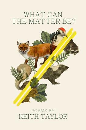 Jacket cover for What Can the Matter Be