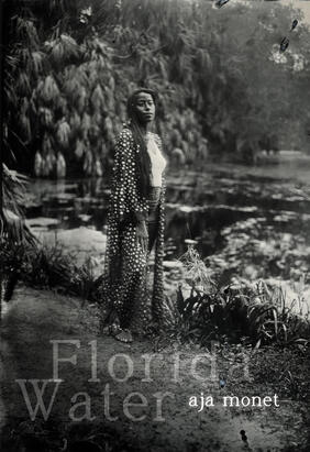 Book cover image of Florida Water by aja monet