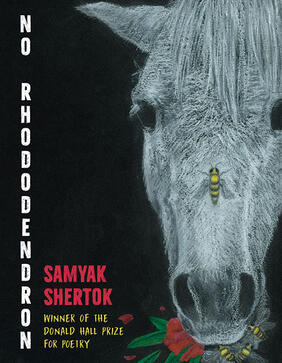 No Rhododendron by Samyak Shertok