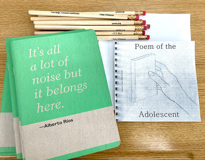 Teaching Poetry Items