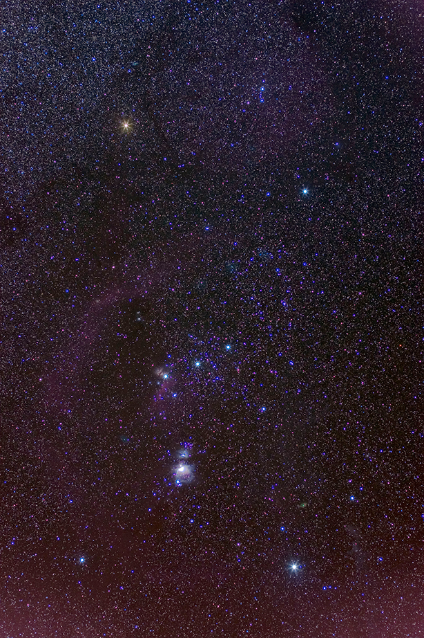 The Constellation Orion 