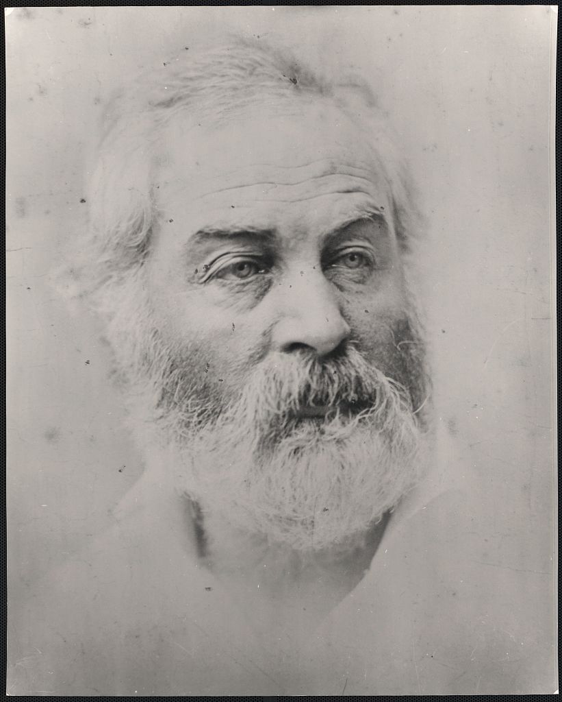 Walt Whitman, by Gardner, 1863